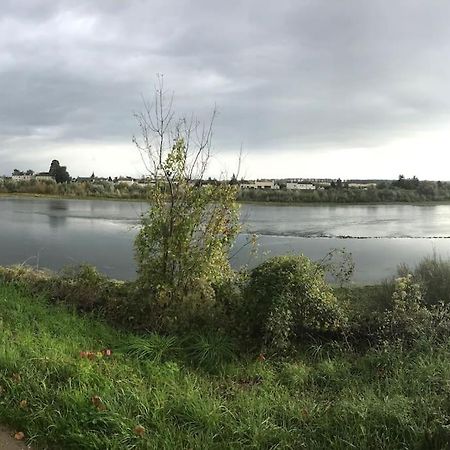 Nid Douillet Bord De Loire Διαμέρισμα Μπλουά Εξωτερικό φωτογραφία