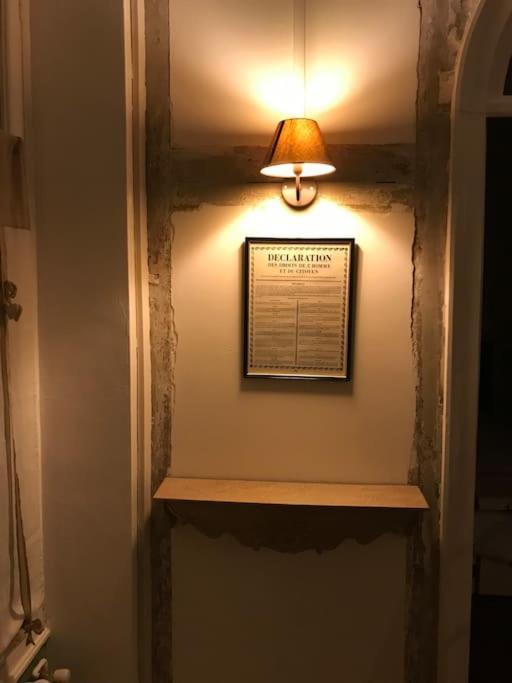 Nid Douillet Bord De Loire Διαμέρισμα Μπλουά Εξωτερικό φωτογραφία